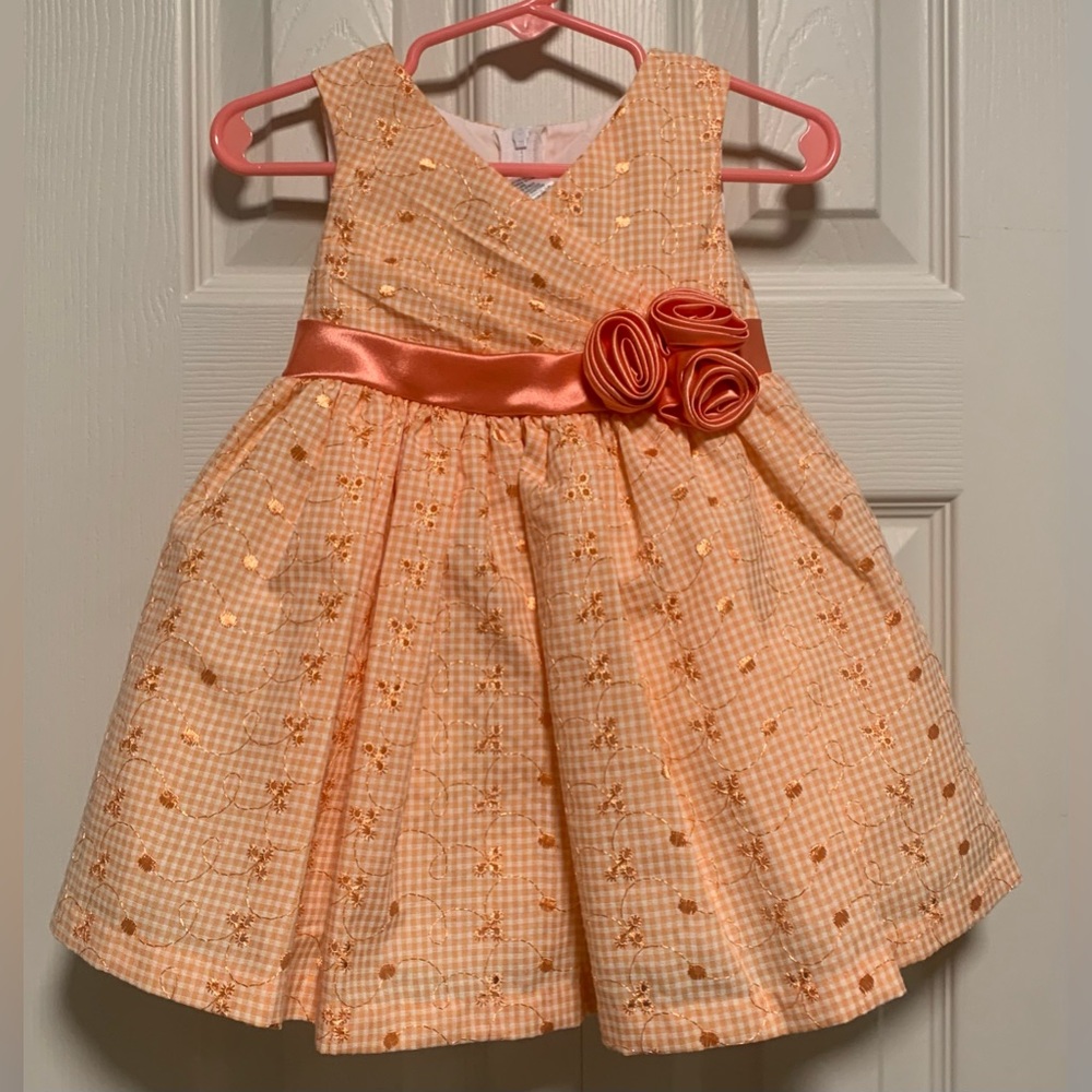Baby Girls Peach Gingham Party Dress Embroidered Floral Rosette Size 12 Months